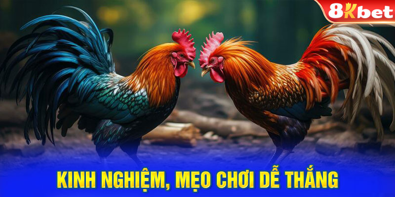 Kinh nghiệm, mẹo chơi dễ thắng